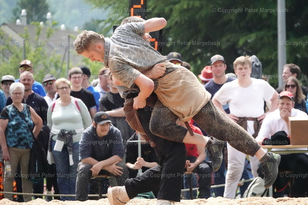 DSC04139 | Schwingen - Realisiert mit Pictrs.com