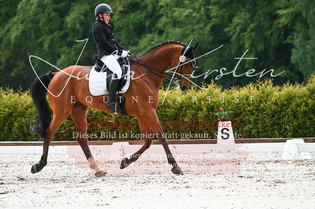 DSC_4385 | Pferde- und Turnierfotografie in Westsachsen. Pferdeportraits, Auftragszeichnungen und intuitive Kunst.