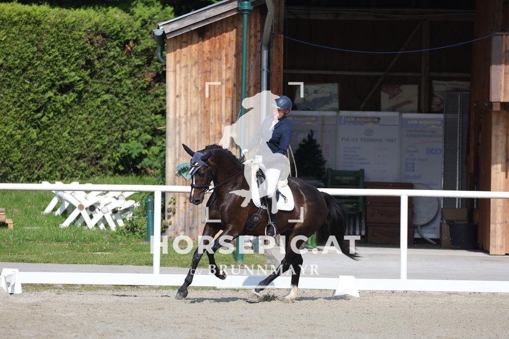 0P6A4544 | Willkommen bei Brunnmayr - Design & Fotografie – Ihrem Spezialisten für Reitturniere und Pferdeveranstaltungen in Oberösterreich, Salzburg und Bayern! Seit über 17 Jahren sind wir leidenschaftlich dabei.
