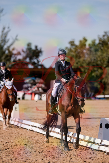 2026_10_03_Siefer-Hof_125937_Z81_50837224 | Professionelle Reitsport-, Turnier- und Eventfotografie von Robert Broda. Galerien mit ausgewählten und bearbeiteten Bildern direkt online ansehen und bestellen.
