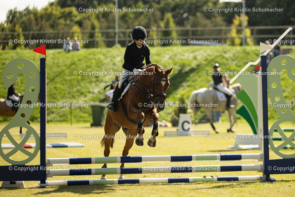 Prf. 4-12 | Kristin Schumacher Photography