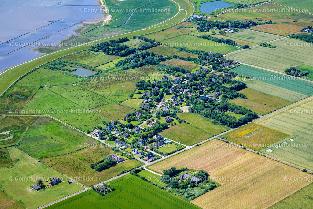 Sylt_Osterende_ELS_4082210625 | SYLT 21.06.2025 Ortskern und Orts- Zentrum an der Meeres- Küste der Nordsee auf der Insel Sylt in Morsum-Osterende im Bundesland Schleswig-Holstein, Deutschland. // Center on the seacoast of North Sea on Sylt Island in Morsum-Osterende in the state Schleswig-Holstein. Foto: Martin Elsen