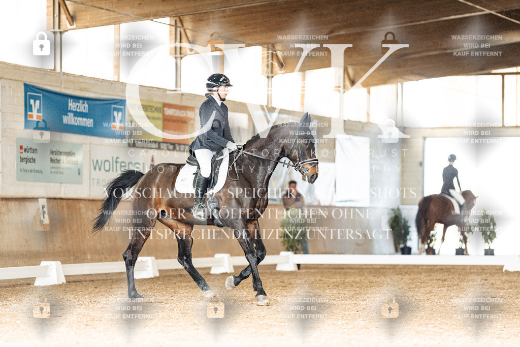 CK902354 | Turnierfotografie Pferdefotografie Trier Rheinland-Pfalz Pferdesport Reitsport Tierfotografie Sportfotografie Pferdevideo Pferdevideografie Equestrianvideography equestrianphotography  - Realisiert mit Pictrs.com