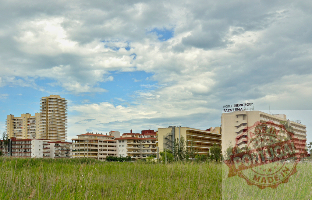 Hotel Servigroup Papa Luna towering over wetlands | Buildings and Hotel Servigroup Papa Luna standing over green wetlands under a cloudy sky - Realized with Pictrs.com