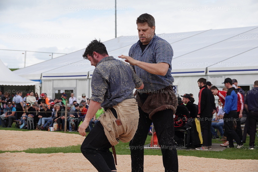 DSC00697 | Schwingen - Realisiert mit Pictrs.com