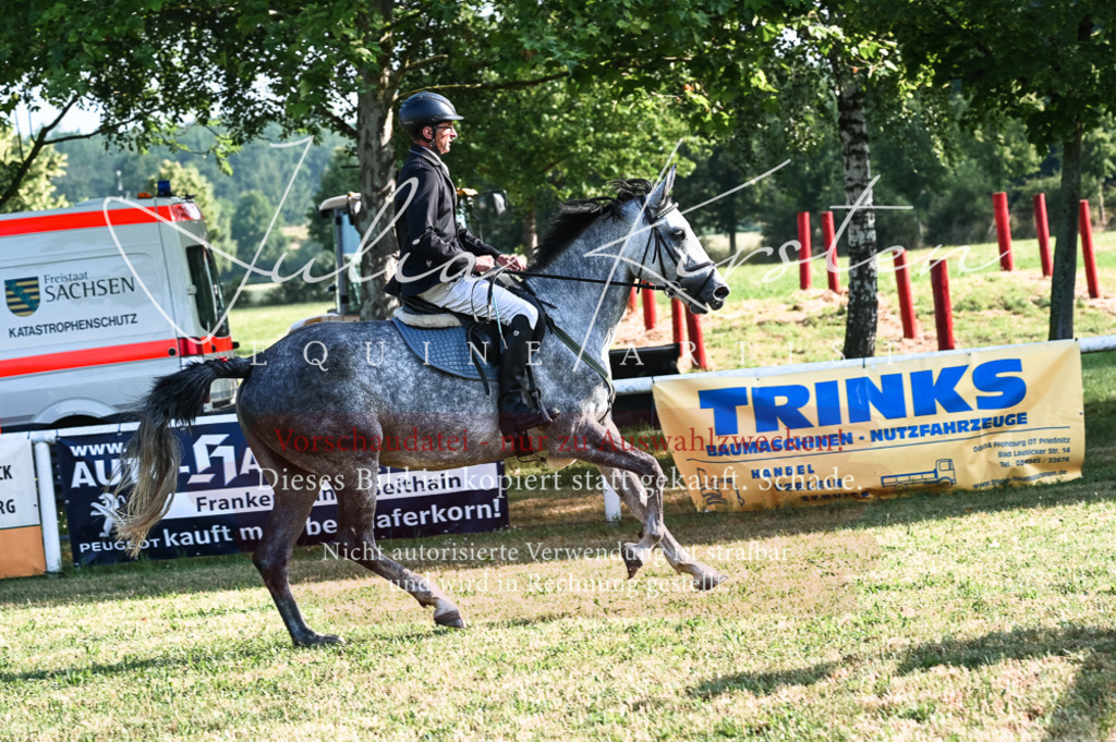 DSC_7492 | Pferde- und Turnierfotografie in Westsachsen. Pferdeportraits, Auftragszeichnungen und intuitive Kunst.