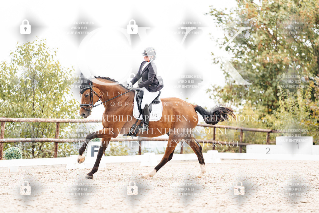 CK900854 | Turnierfotografie Pferdefotografie Trier Rheinland-Pfalz Pferdesport Reitsport Tierfotografie Sportfotografie Pferdevideo Pferdevideografie Equestrianvideography equestrianphotography  - Realisiert mit Pictrs.com