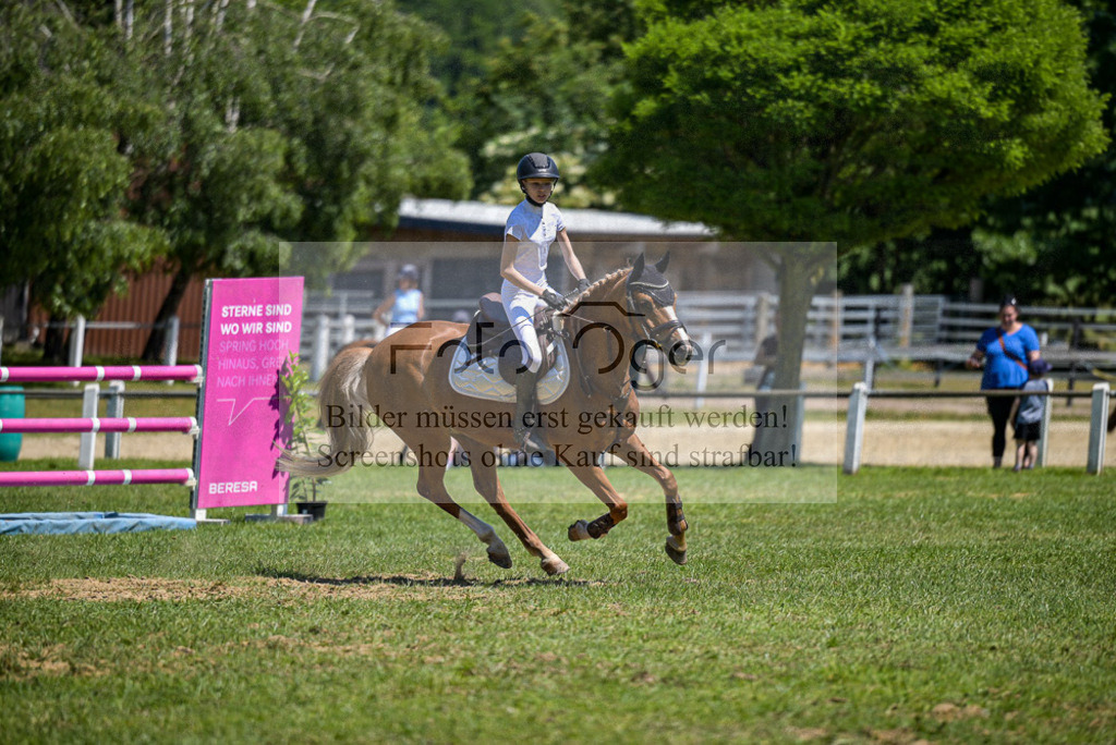 Reitturnier Voxtrup | Entdecke hochwertige Reitturnierfotos von Foto Oger. Professionell, emotional und authentisch – jetzt Lieblingsmomente im Shop bestellen. - Realisiert mit Pictrs.com