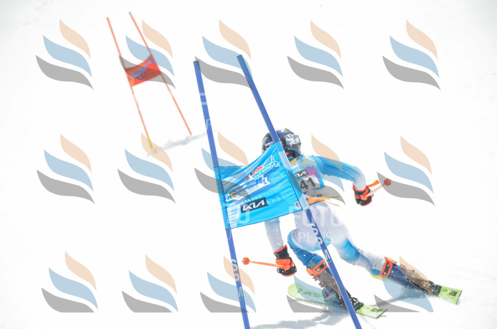 _ELE7445 | holidayphoto