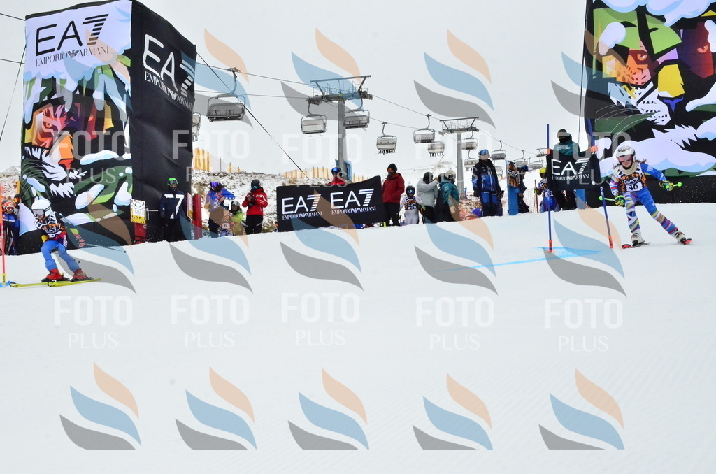 _ELE3326 | holidayphoto