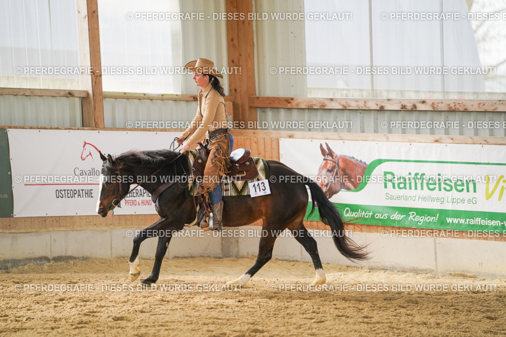 DSC05821 | Pferdegrafie