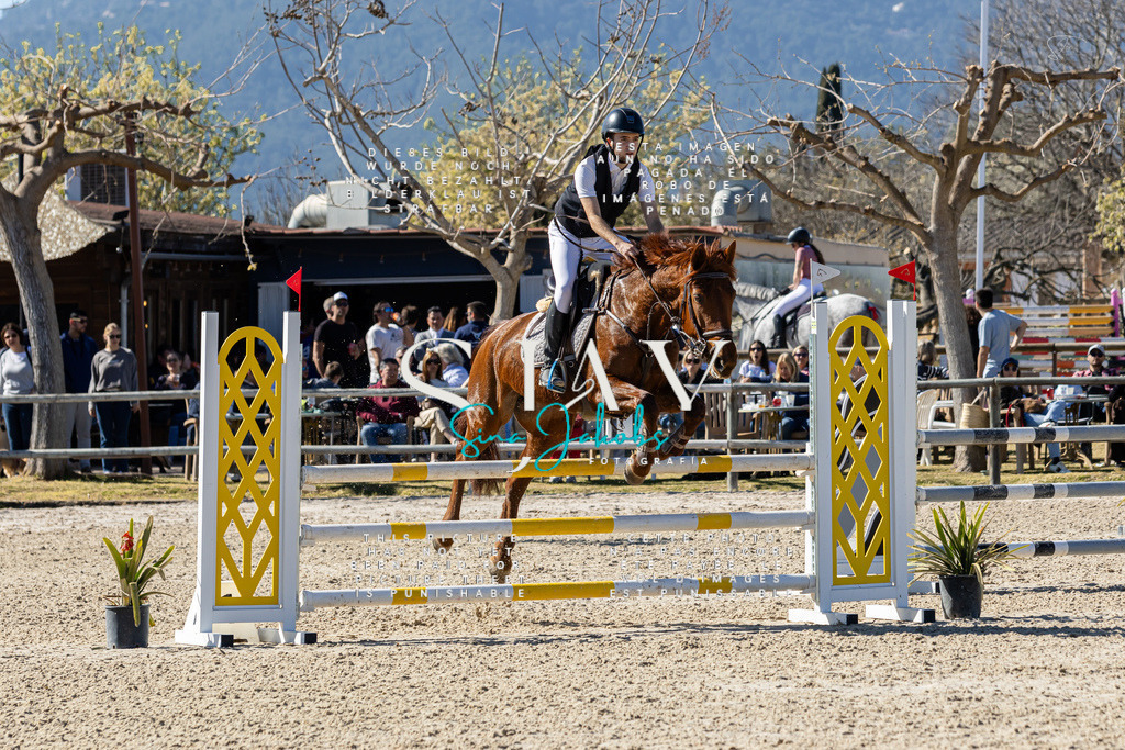 IMG_0723 | s-jay-photography - Realisiert mit Pictrs.com