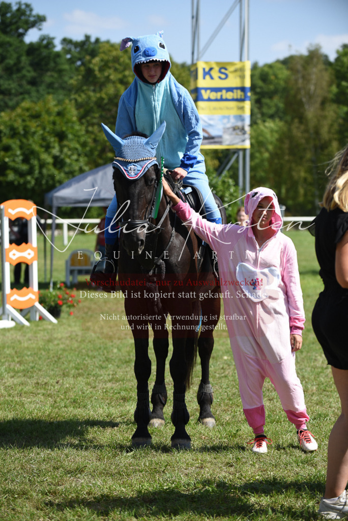 DSC_0470 | Pferde- und Turnierfotografie in Westsachsen. Pferdeportraits, Auftragszeichnungen und intuitive Kunst.
