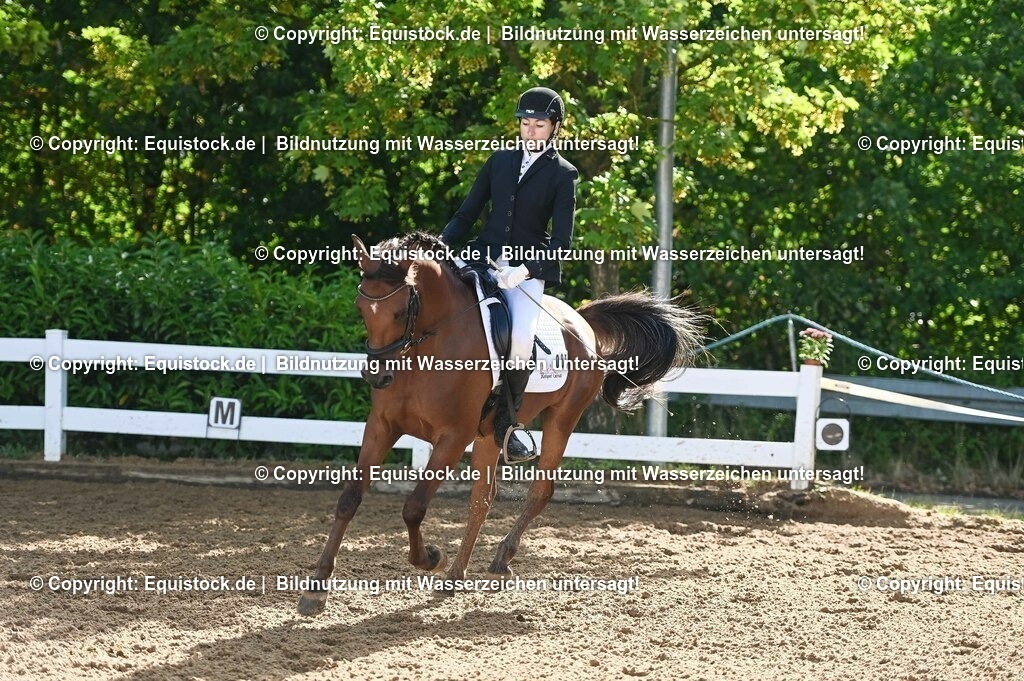 20230716_04_Dressurreiterprüfung Kl.A_0183 | equistock
