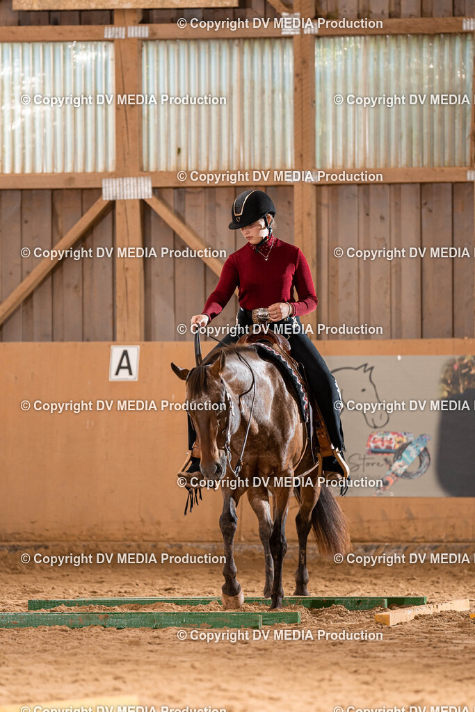 Losheim Tag 2-219 | dv-media-shop - Realisiert mit Pictrs.com