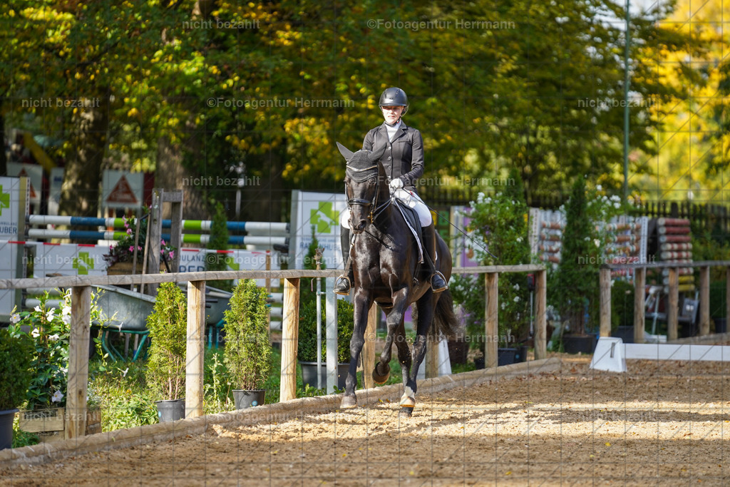 20221007-FAH00036 | Diessen am Ammersee, 2022, Dressur- und Springturnier, Reitsportbilder, Turnierfotografen Bayern, Pferdefotografen, Fotoagentur Herrmann, Turnierbilder