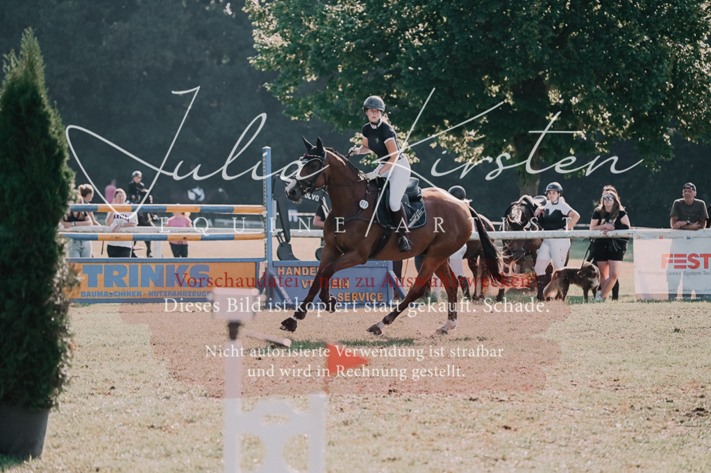 DSC_4663 | Pferde- und Turnierfotografie in Westsachsen. Pferdeportraits, Auftragszeichnungen und intuitive Kunst.