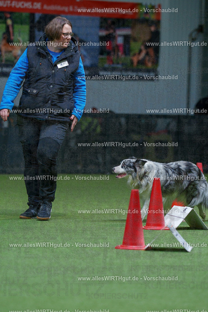 7R506278 | Professionelle Tierfotografie in Mönchengladbach von Daniel Wirth (allesWIRTHgut). Liebevolle & natürliche Bilder von Hunden & Katzen für unvergessliche Erinnerungen.