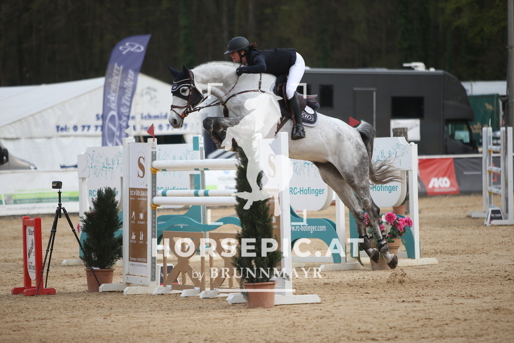 PP018543 | Willkommen bei Brunnmayr - Design & Fotografie – Ihrem Spezialisten für Reitturniere und Pferdeveranstaltungen in Oberösterreich, Salzburg und Bayern! Seit über 17 Jahren sind wir leidenschaftlich dabei.