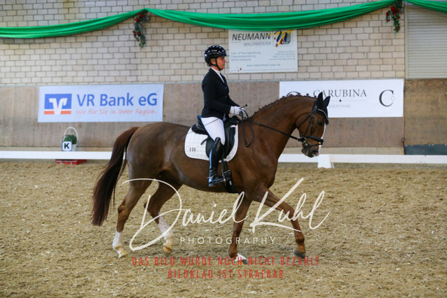 IMG_2995 | Turnierfotos kaufen im Webshop von Daniel Kuhl Photography – entdecke professionelle Reitsportfotos aus Turnieren & Events. Hochwertige Turnierbilder online bestellen & sichern. Jetzt Fotos von Reitsportturnieren kaufen!