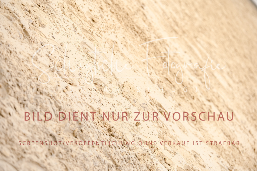 Schugtsche-Aluta25-42.EDressur -380 | Schugtsche Fotografie - Realisiert mit Pictrs.com