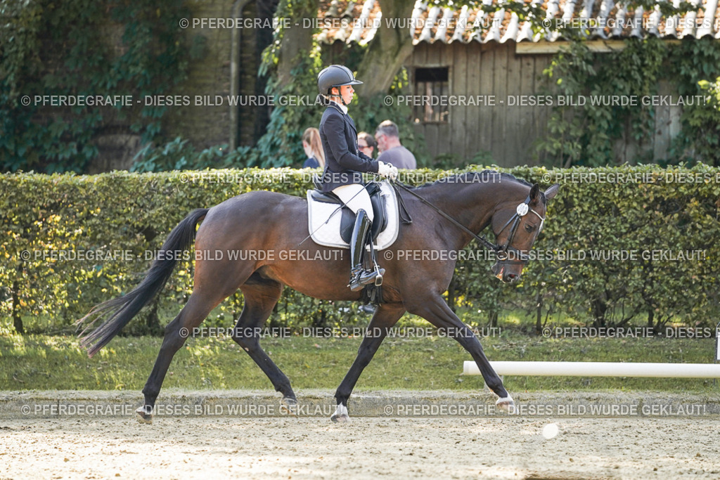 DSC06881 | Pferdegrafie