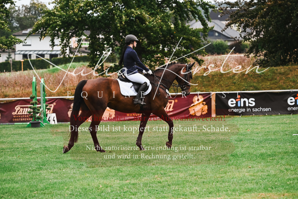 DSC_5983 | Pferde- und Turnierfotografie in Westsachsen. Pferdeportraits, Auftragszeichnungen und intuitive Kunst.