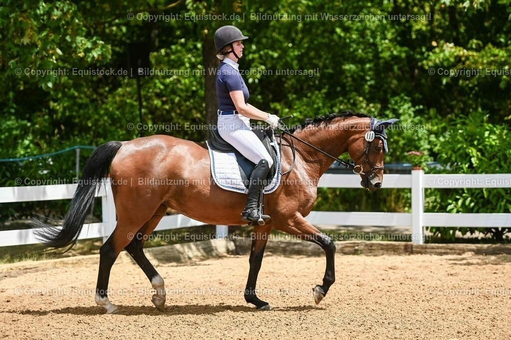 20230715_05_Dressurprüfung Kl.A++_0085 | equistock