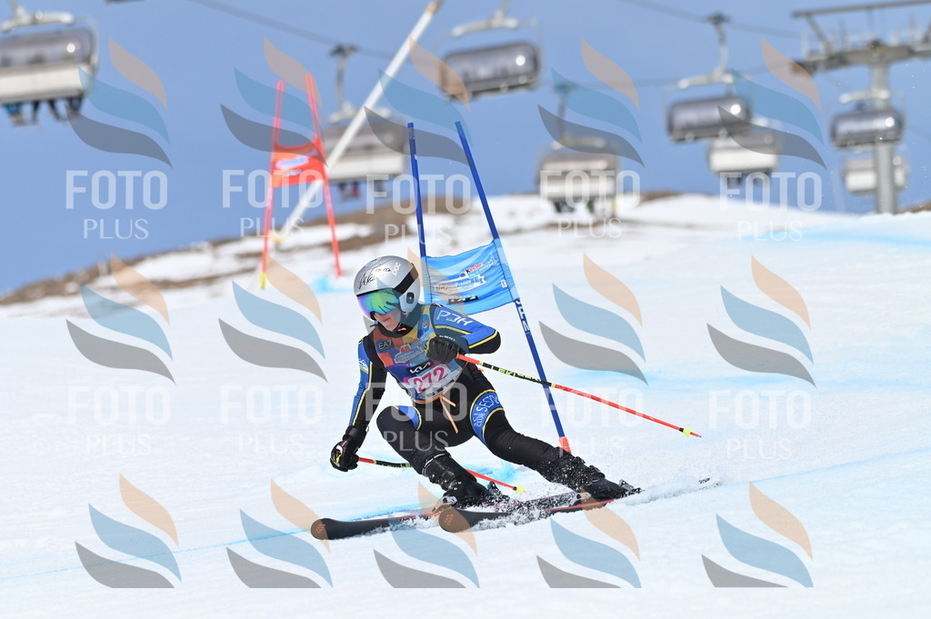 BGV_2295 | holidayphoto