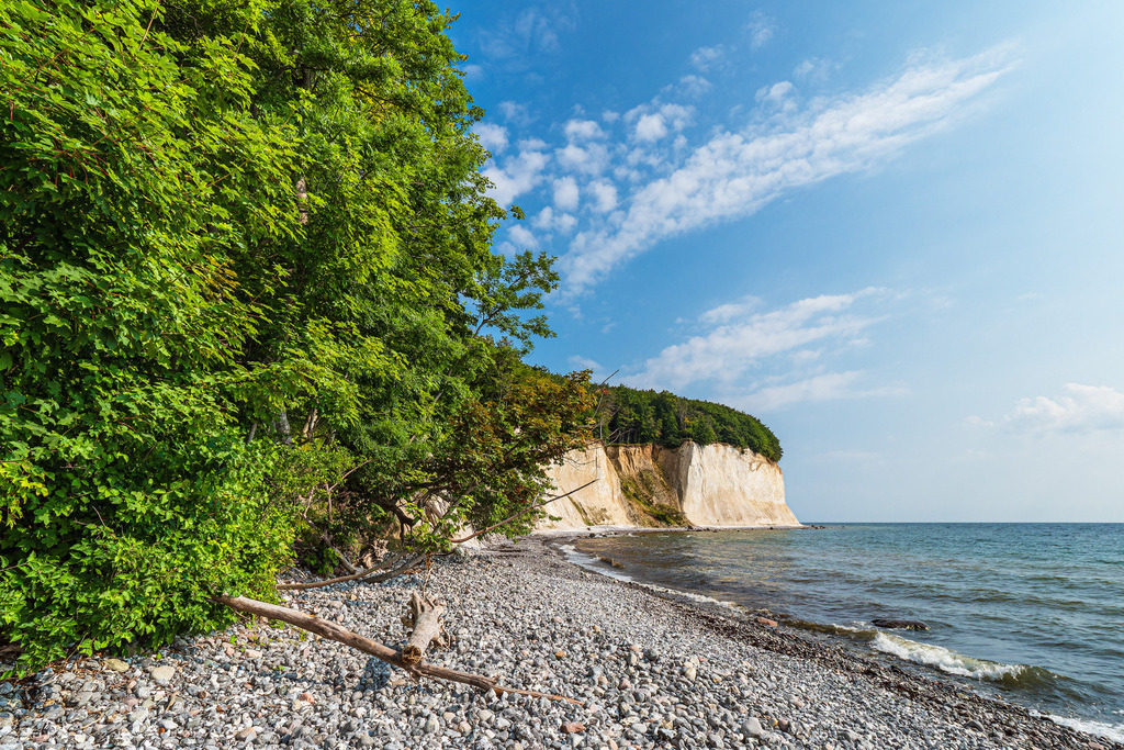 Kreidefelsen an der Küste der Ostsee auf der Insel Rügen | Kreidefelsen an der Küste der Ostsee auf der Insel Rügen.