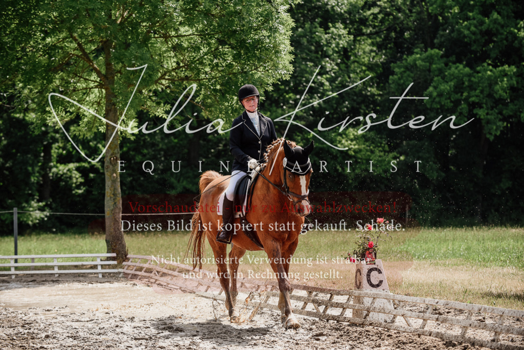 DSC_0717 | Pferde- und Turnierfotografie in Westsachsen. Pferdeportraits, Auftragszeichnungen und intuitive Kunst.