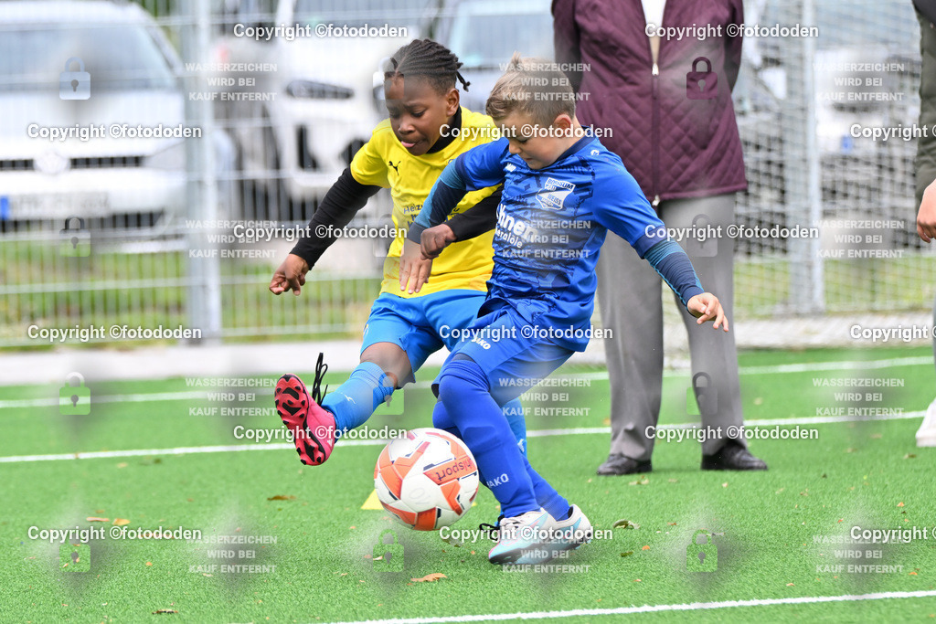 DSC_7662 | SV Wittmund l (gelb) / BW Borssum Emden (blau)