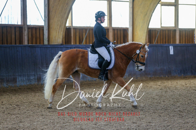 IMG_0976 | Turniersportfotografie; Pferdefotografie; Dressurfotografie