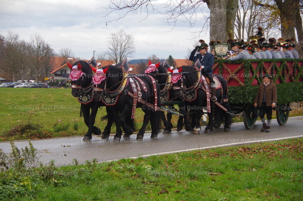 IMGP0281 | fotografiert von Axel PollmannLeonhardi Wallfahrt Benediktbeuern und Murnau, Fronleichnam, Fasching, Landschaft im Loisachtal und Benediktbeuern  - Realisiert mit Pictrs.com