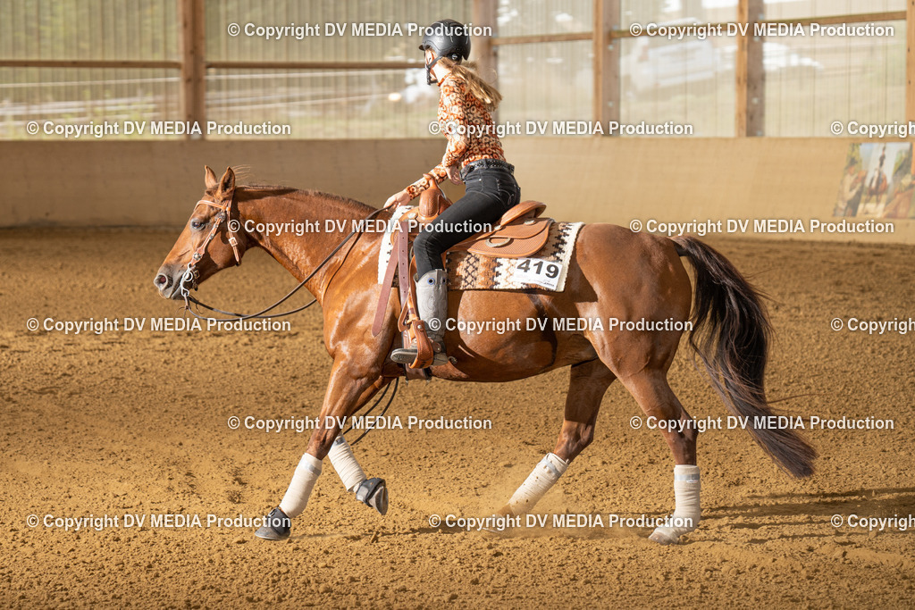 LAU01707 | dv-media-shop - Realisiert mit Pictrs.com