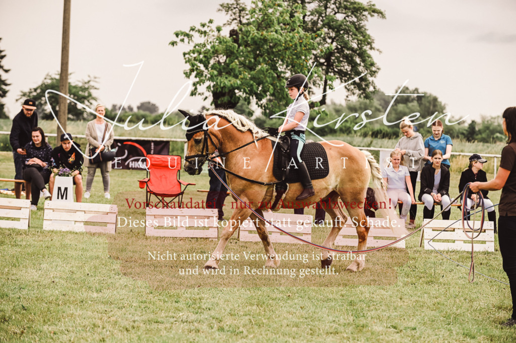 DSC_5206 | Pferde- und Turnierfotografie in Westsachsen. Pferdeportraits, Auftragszeichnungen und intuitive Kunst.