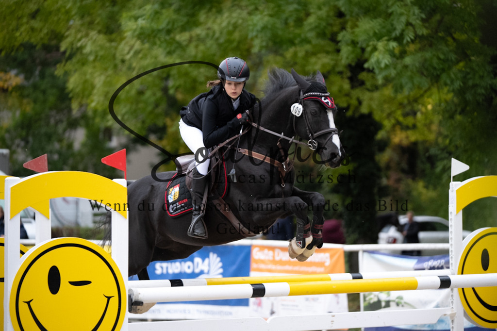 A7V08739 | Pferdefotograf