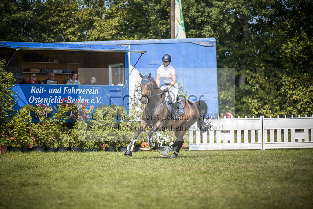DOS_4385 | Entdecke hochwertige Reitturnierfotos von Foto Oger. Professionell, emotional und authentisch – jetzt Lieblingsmomente im Shop bestellen.Deutschlandweite Turnierfotografie. - Realisiert mit Pictrs.com
