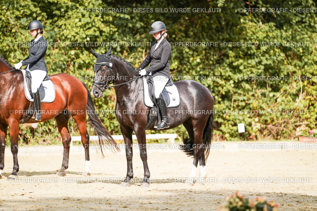 DSC02193 | Pferdegrafie