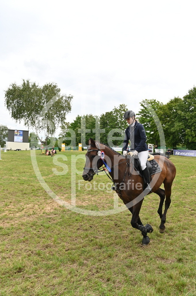 DSC_3560 | sattelsport - Realisiert mit Pictrs.com