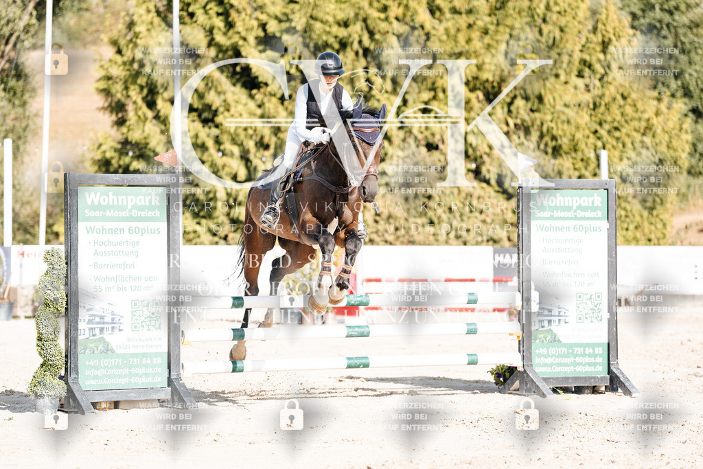 CK909251 | Turnierfotografie Pferdefotografie Trier Rheinland-Pfalz Pferdesport Reitsport Tierfotografie Sportfotografie Pferdevideo Pferdevideografie Equestrianvideography equestrianphotography  - Realisiert mit Pictrs.com