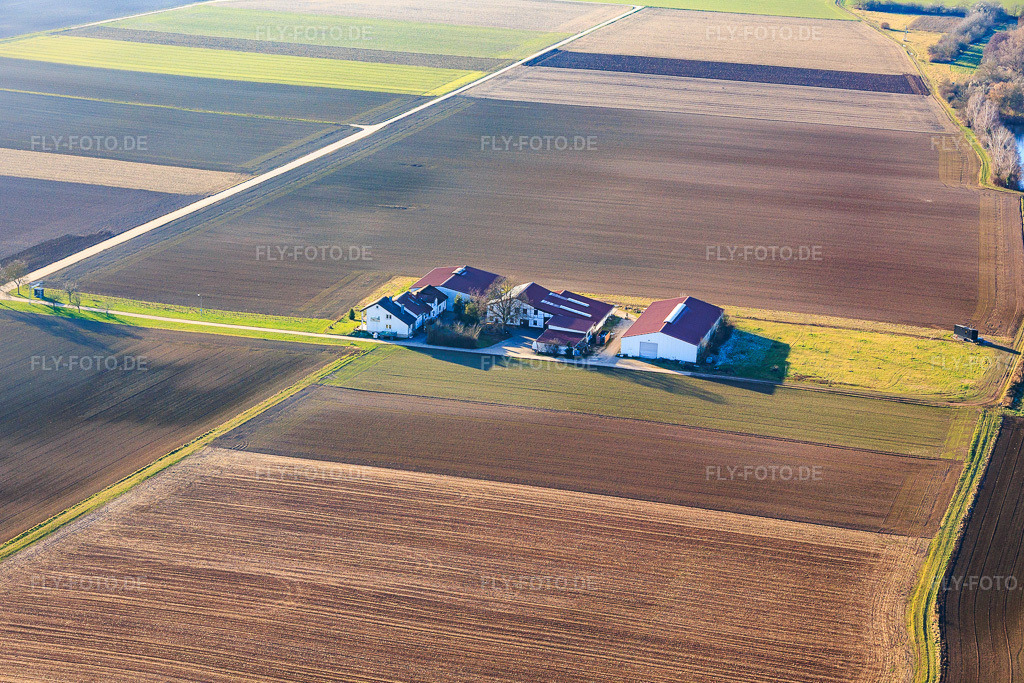 Luftbild: Wein- u. Sektgut Rosenhof in Wörth am Rhein im Bundesland Rheinland-Pfalz in Deutschland. Foto: IMG_152590.jpg vom 31.12.2025 durch Werner Riehm/FLY-FOTO.deRosenhof - Wein- und Sektgut Rosenhof