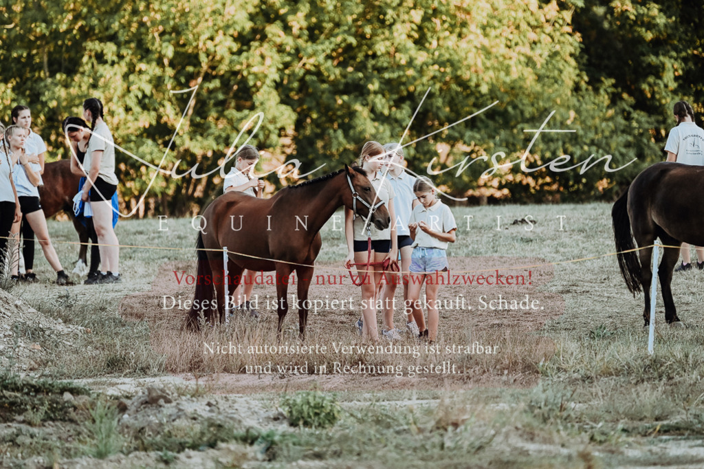 DSC_9311 | Pferde- und Turnierfotografie in Westsachsen. Pferdeportraits, Auftragszeichnungen und intuitive Kunst.