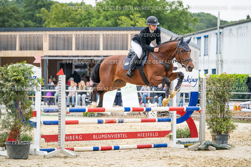 DSC00463 | Pferdegrafie