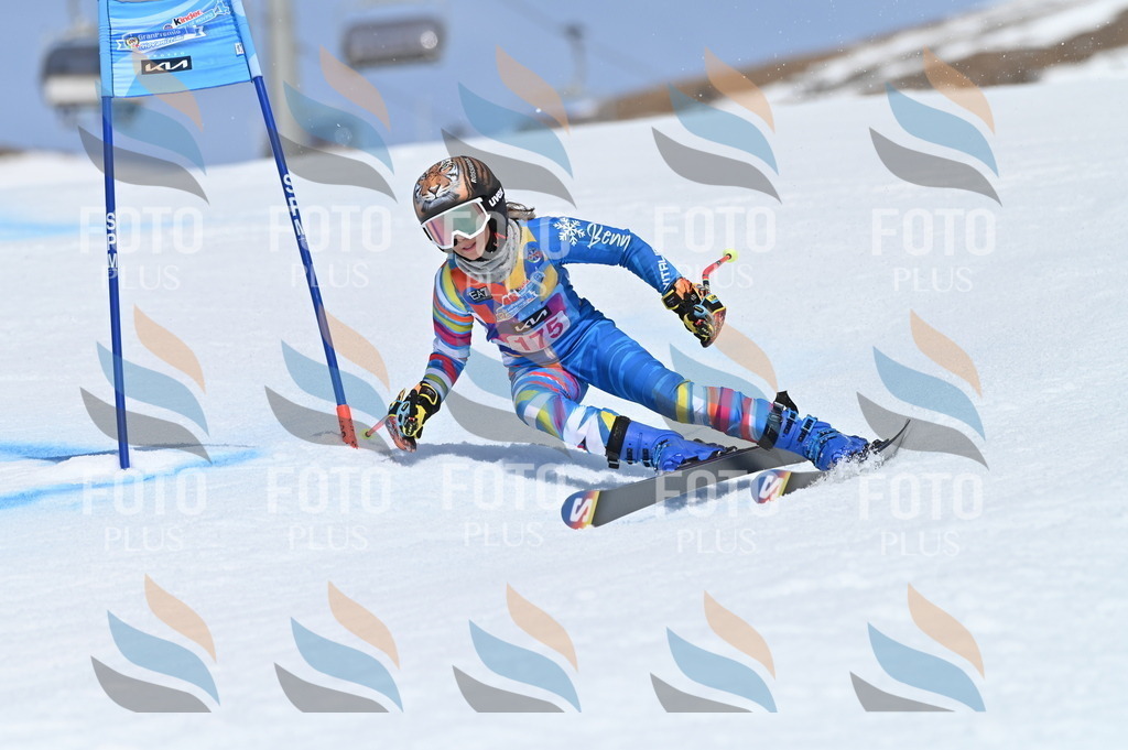 BGV_0525 | holidayphoto