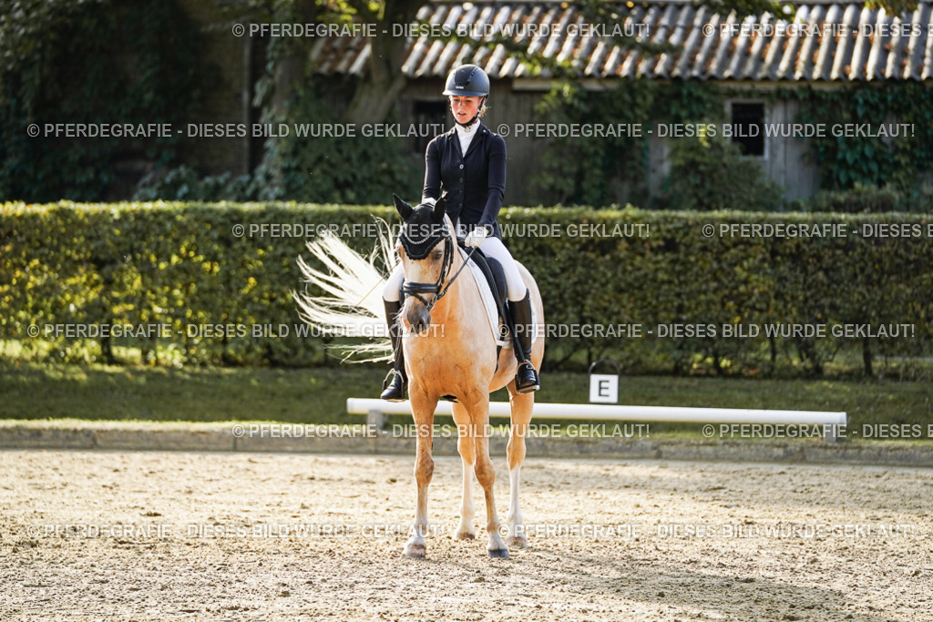 DSC04916 | Pferdegrafie