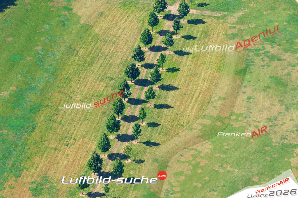 Die Luftaufnahme Allee - Kueps wurde 2017 mittels Flugzeug (keine Drohne) erstellt. Perfekte Schärfe und Druck- Auflösung- Garantiert!