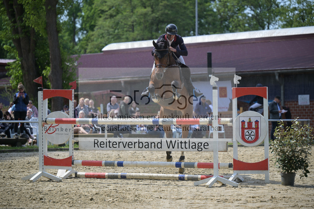 DOS_8843 | Entdecke hochwertige Reitturnierfotos von Foto Oger. Professionell, emotional und authentisch – jetzt Lieblingsmomente im Shop bestellen.Deutschlandweite Turnierfotografie. - Realisiert mit Pictrs.com