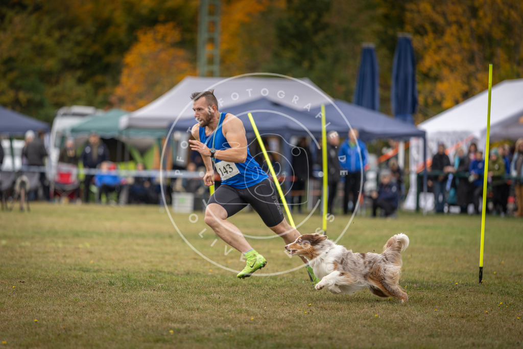 Pfotenfotografie_DV3A8000 | Hundefotografie, Tierfotograf, Pfotenfotografie, Fotoshooting Hund, Hunde Portrait, Hundesport, Hundeportraits, Heideshooting, Hunde, Sportfotograf, Hundefotograf, Turnierhundsport, THS,  - Realisiert mit Pictrs.com