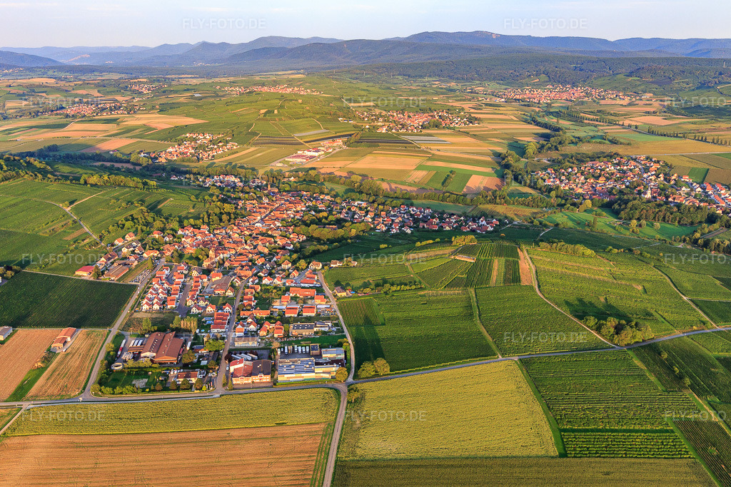 Luftbild: Ortsansicht von Nordosten in Scharrachbergheim-Irmstett im Bundesland Bas-Rhin in Frankreich. – Foto: IMG_138024.jpg vom 19.08.2023 durch Werner Riehm/FLY-FOTO.de – Auflösung des Originals: 5268 x 3512 px